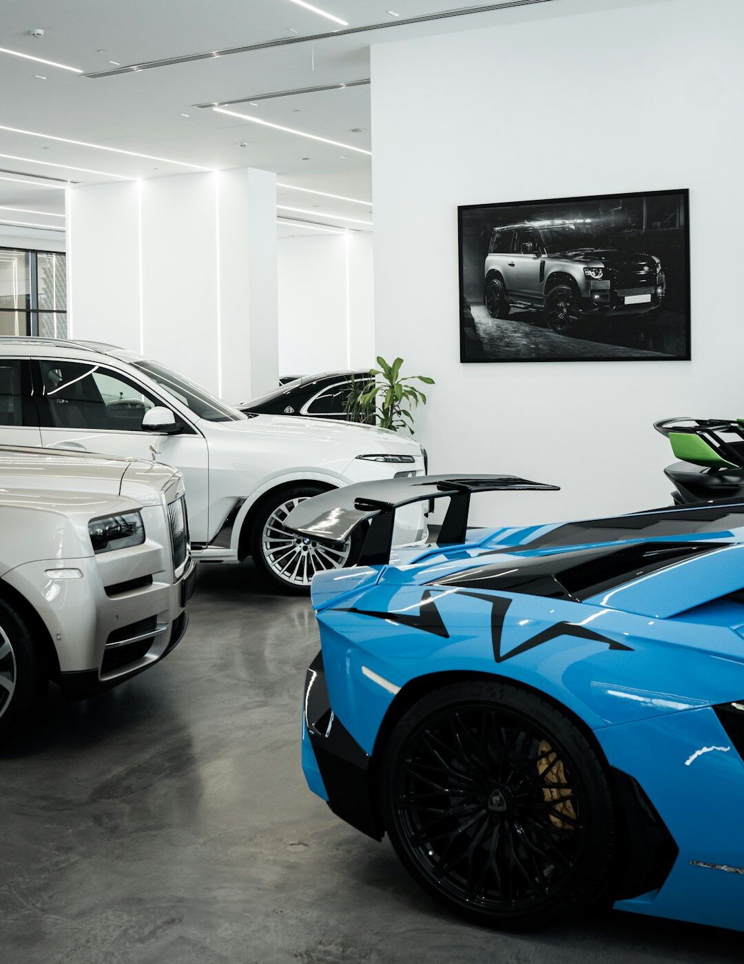 diverse cars in showroom