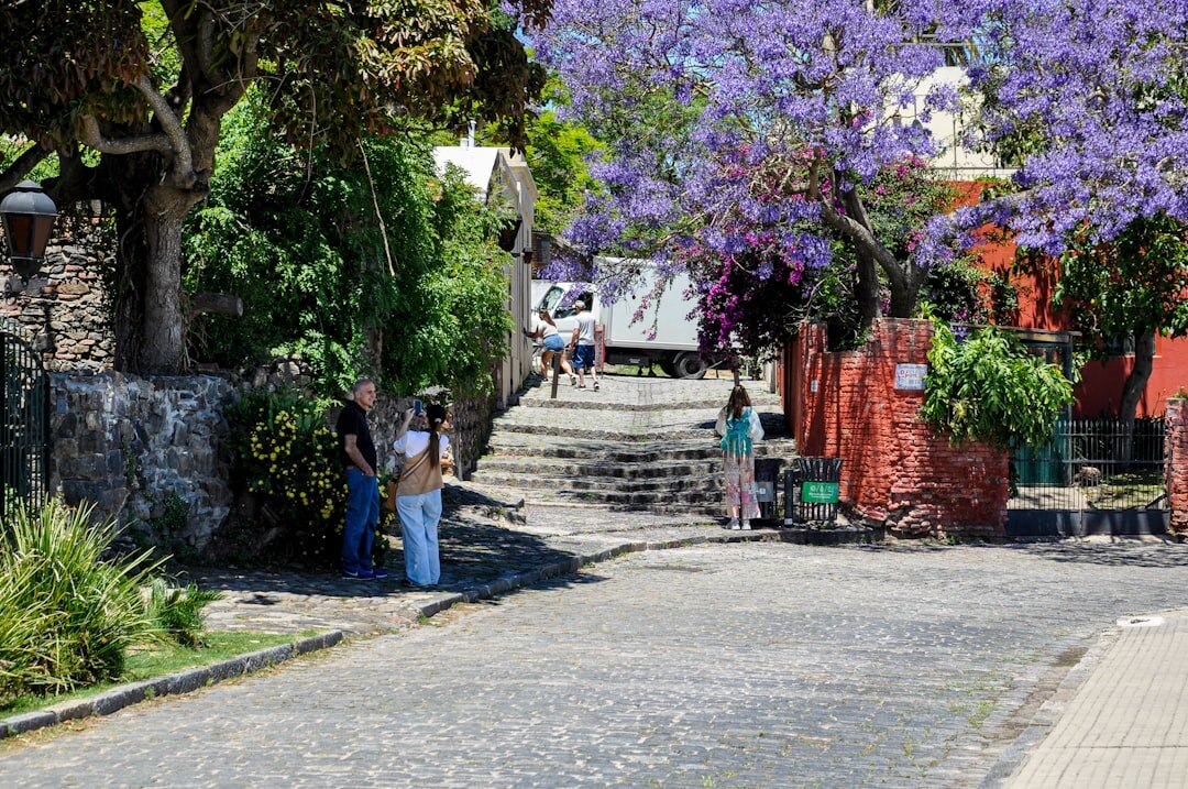 Classic cars driving through the cobblestone streets of Colonia during a vintage rally