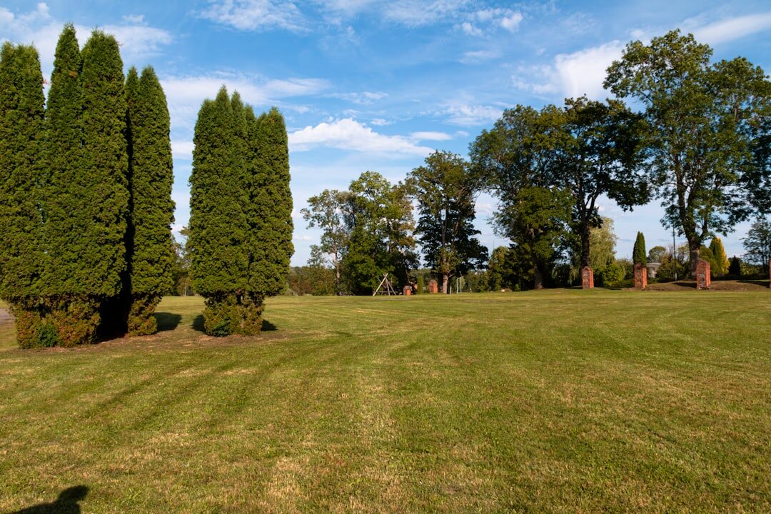 Vintage collector cars lined up on a manicured lawn during an elegance concours
